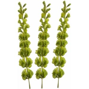 Set van 3x stuks kunstplanten Molucella takken 80 cm groen - kunstbloemen takken