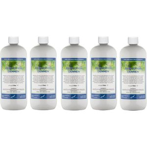 Bodylotion Dennen 1 Liter - set van 5 stuks - Voordeelverpakking