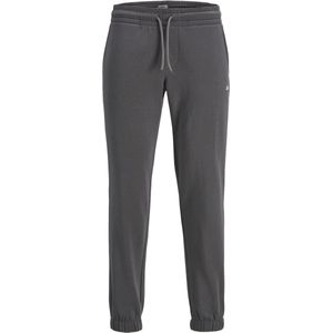 JJ REBEL JREBGORM REG REBEL LOGO SWEAT PANTS NOOS Heren Broek - Castlerock