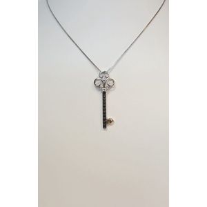 Hanger - wit/geelgoud - 14 karaat – diamant – sleutel - uitverkoop juwelier Verlinden St. Hubert van €349,= voor €279,=