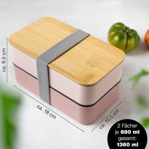 Box Container - lunchbox \ lunchbox adult