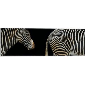 WallClassics - Vlag - Kop en Kont van Zebra - 60x20 cm Foto op Polyester Vlag