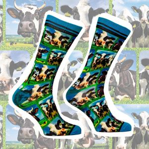 Sock My Feet - Sock my cow (men)