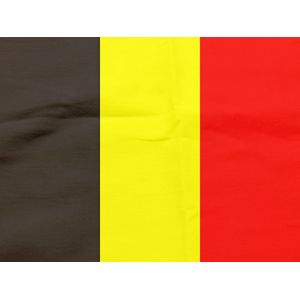 Belgische vlag - vlag - 150x100 CM - zwart/geel/rood