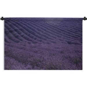 Wandkleed De lavendel - Bloeiende lavendelveld op golvende heuvels Wandkleed katoen 150x100 cm - Wandtapijt met foto