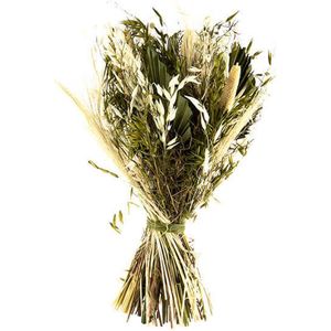 Sheaf boeket groen ↨ 60cm - hoge kwaliteit planten - Veldboeket - Droogboeket - Droogbloemen