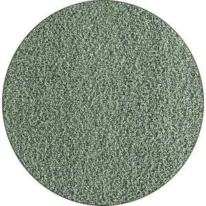 Vloerkleed 120x120 hoogpolig - Groen - Wasbaar met Antislip onderkant - FOXY Shaggy by The Carpet