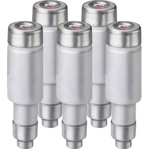 Fleszekering Snel 10A 400V - D01 - Neozed - gL/gG Flink - E14 - 5 stuks
