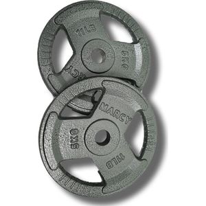 Halterschijven gietijzer set 5KG (2 stuks) Totaal: 10KG