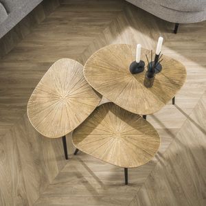 LifestyleFurn Organische Salontafel Katrell - Ray Metal - Set van 3 stuks