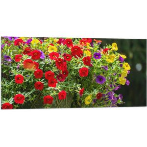 WallClassics - Vlag - Bloemenmadjes met Rode, Paarse en Gele Bloemen - 100x50 cm Foto op Polyester Vlag