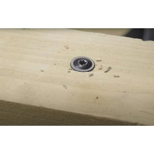 Wovar Tellerkopschroeven Zwart AR|coating 6.0 x 40 mm Torx | Doos 100 Stuks