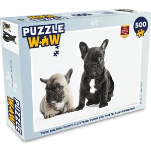 Puzzel Twee Buldog puppy's zittend voor een witte achtergrond - Legpuzzel - Puzzel 500 stukjes