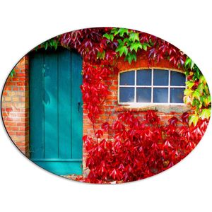 WallClassics - Dibond Ovaal - Blauwe Deur met Gekleurde Bladeren - 68x51 cm Foto op Ovaal (Met Ophangsysteem)