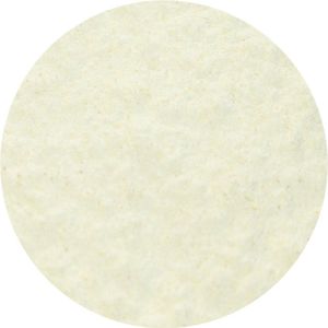 Pastinaak Poeder - 1 Kg - Holyflavours - Biologisch gecertificeerd