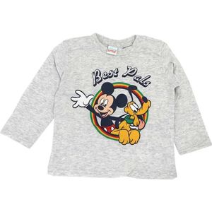 Disney - Mickey Mouse - baby-peuter . kraamcadeau - babyshower - shirt lange mouwen - grijs - maat 12-18 mnd