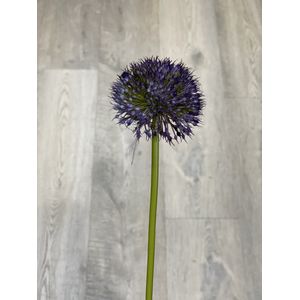 Brynxz - zijdetak - allium - Perfect Purple Blue - 75cm