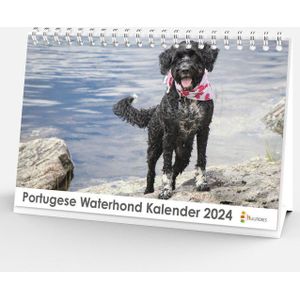 Bureaukalender 2024 - Portugese Waterhond - 20x12cm - 300gms