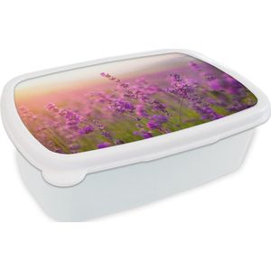 Broodtrommel Wit - Lunchbox - Brooddoos - Lavendel - Lente - Paars - 18x12x6 cm - Volwassenen
