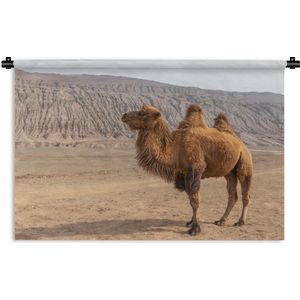 Wandkleed Kameel - Staande kameel in China Wandkleed katoen 180x120 cm - Wandtapijt met foto XXL / Groot formaat!