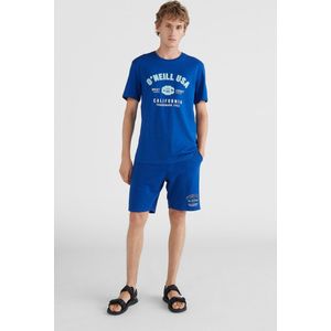 O'Neill Shorts Men STATE JOGGER Surf The Web Blue S - Surf The Web Blue 60% Cotton, 40% Recycled Polyester Shorts 3