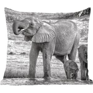 Sierkussens - Kussentjes Woonkamer - 60x60 cm - Olifant - Water - Dieren - Zwart - Wit