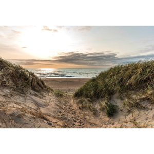 Dibond - Zee - Strand in wit / zwart / bruin / blauw / groen - 80 x 120 cm