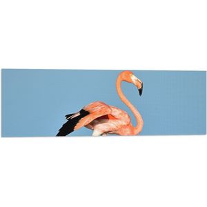 WallClassics - Vlag - Roze Flamino in het Water - 90x30 cm Foto op Polyester Vlag