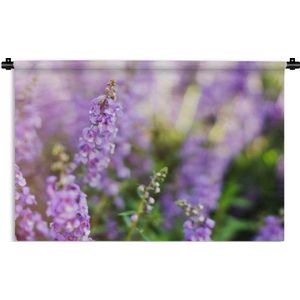 Wandkleed De lavendel - Close up van hele lavendel in een veld Wandkleed katoen 120x80 cm - Wandtapijt met foto