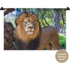 Wandkleed Leeuwen - Staande mannelijke leeuw Wandkleed katoen 60x40 cm - Wandtapijt met foto