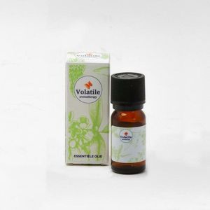 Volatile Curcuma longa CO2-SE bio 2.5ml