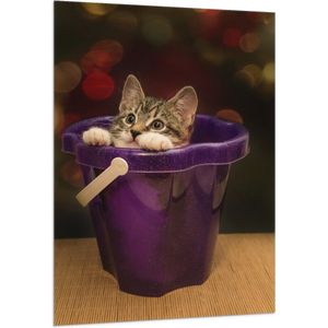 WallClassics - Vlag - Kitten in Paars Emmertje - 100x150 cm Foto op Polyester Vlag