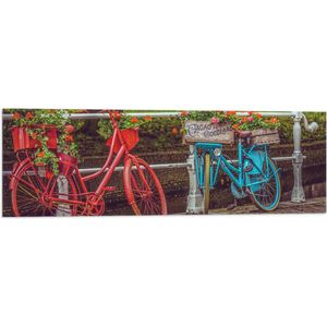 WallClassics - Vlag - Rood/Blauwe Fietsen met Bloemen Gevuld - 90x30 cm Foto op Polyester Vlag