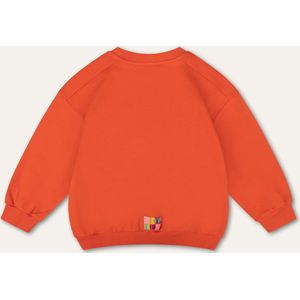 Hooray sweater 17 cherry tomato with artwork Orange: 122/7yr