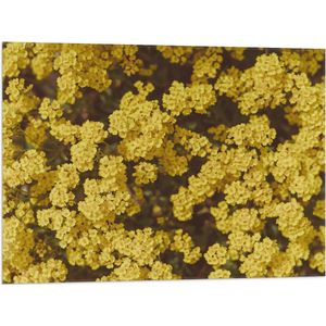 WallClassics - Vlag - Kleine Gele Bloemetjes - 80x60 cm Foto op Polyester Vlag