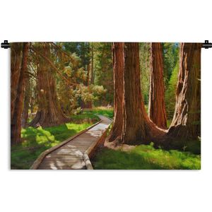 Wandkleed Nationaal park Sequoia - Houten pad door het Nationaal park Sequoia in Californië Wandkleed katoen 180x120 cm - Wandtapijt met foto XXL / Groot formaat!