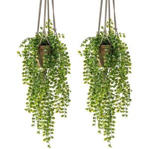2x Kunstplant hangplant Ficus in pot met touwen 16 cm - Nepplanten/kunstplanten