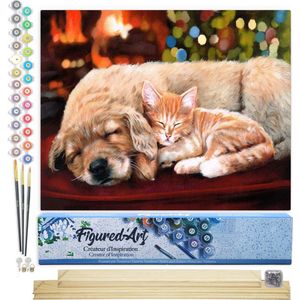 Figured'Art Schilderen op Nummer Volwassenen canvas Dutje met vrienden - Handwerk acrylverf Kit DIY Compleet - 40x50cm met DIY houten lijst
