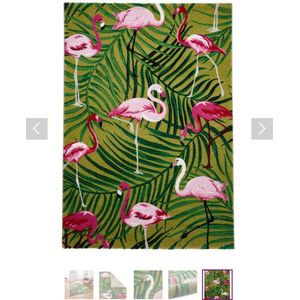 Think Rugs - Vloerkleed 'Havana 2349' - Groen/Roze - 120x170 cm