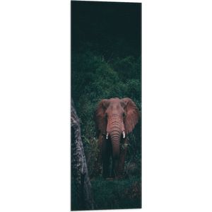 WallClassics - Vlag - Olifant in de Jungle - 30x90 cm Foto op Polyester Vlag