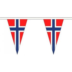 Noorwegen landen punt vlaggetjes 5 meter - slinger / vlaggenlijn
