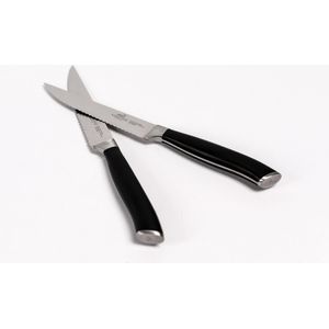 Sabatier Steakmessen roestvrij staal-set van 2