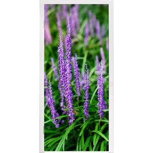 Deursticker Close-up paars siergras - 80x205 cm - Deurposter