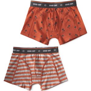 Little Label - boxershorts 2-pack - palm orange & big orange stripe - maat: 134/140 - bio-katoen