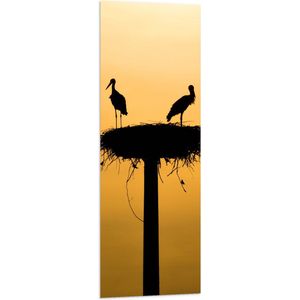 WallClassics - Vlag - Silhouet van Ooievaars op het Nest - 40x120 cm Foto op Polyester Vlag