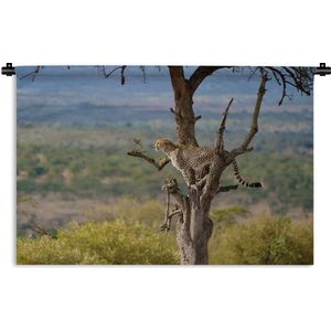 Wandkleed Roofdieren - Jachtluipaard in een boom op zoek naar prooi Wandkleed katoen 180x120 cm - Wandtapijt met foto XXL / Groot formaat!
