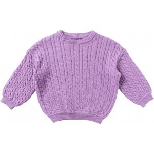 Your Wishes Nevada Cable Knit Truien & Vesten Meisjes - Sweater - Hoodie - Vest- Paars - Maat 110/116