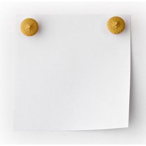magneten Eekhoorn met 8 eikels magneet koelkast whiteboard