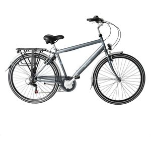 Wheelerz.nl herenfiets 6 versnellingen matgrijs 49cm