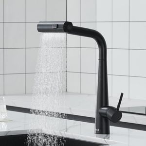 Stijlvolle Keukenkraan met Uitschuifbare Douche en 3 Spuitfuncties van Roestvrij Staal